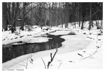 Zima nad potokiem Krępa