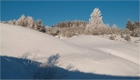 Zima na Suwalszczynie - okolice Szurpi.