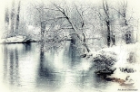 Rzeka Liwiec w zimowej szacie