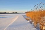 Augustów. Jezioro Necko zimą...