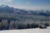 Bukowina Tatrzańska. Panorama Tatr