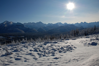 Panorama Tatr z Głodówki