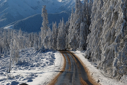 Droga na Łysą Polanę. Głodówka