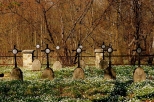 Zagubiony cmentarz wojeńny