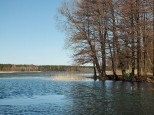 Jezioro Serwy, Sucha Rzeczka