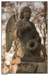 Gostyczyna - cmentarz parafialny, pomnik z Aniołem