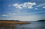 Jezioro Wigry - widok z Rosochatego Rogu.