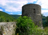 Ruiny zamku na Grze Zamkowej
