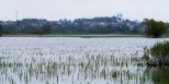 Panorama Gonidza widziana z okolic wsi Budne...