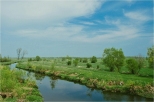 Rzeka Brzozwka - dopyw Biebrzy.