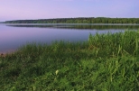 Jezioro Budziszewskie