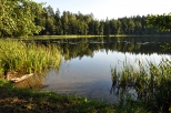 Jezioro Krzywe położone na szlaku Kanału Augustowskiego tuż za śluzą Paniewo