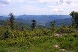 Panorama Beskidu Maego z Magurki Wilkowickiej-909 mnpm.