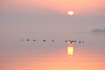 Mazury - jezioro Śniardwy o świcie