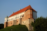 Zamek królewski z XIV wieku
