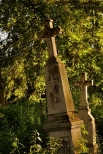 Stare Oleszyce, przycerkiewny cmentarz