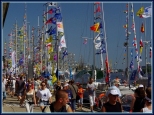 Tall Ships Races 2013 - Szczecin
