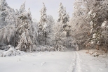 Zimowy krajobraz Pasma Masowskiego