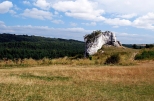 Ostaniec skalny w pobliu ruin zamku w Mirowie.