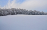 Zima w Michaowicach