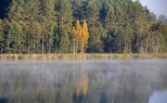 Jezioro Sajenek w porannej, jesiennej mgle.