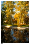 Kalisz - jesie 2013_ oczko wodne w parku miejskim