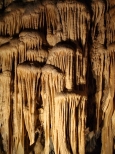 Jaskinia Niedźwiedzia
