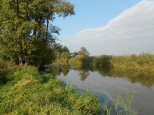 Rzeka Barycz jesieni