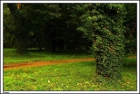 Turew - park otaczajcy barokowy paac Chapowskich
