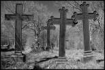 Cmentarz sowiski w Klukach
