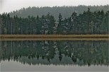 Jezioro Kojle.
