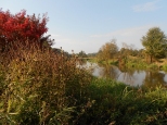 Rzeka Barycz jesieni