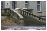 Jastrzbniki. XIX-wieczny zesp dworski, wystawne schody prowadzce do budynku