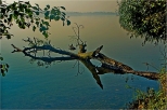 Jezioro Hacza