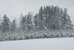 Pocztek zimy na Suwalszczynie.