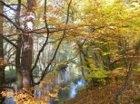 Rzeka Drawa - Drawieski Park Narodowy.