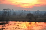 Styczniowy zachód słońca na łąkach w okolicach Laskowca. Skrzyżowanie dwóch dolin: Biebrzy i Narwi