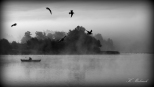 Barlinek - jezioro we mgle...