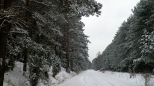 Carski Trakt zimą w okolicach Olszowej Drogi....