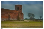 Koło - ruiny gotyckiego zamku na Wartą
