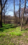 Pierwszy dzie wiosny w Pszczynie. Park Zamkowy.
