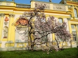Wiosna w Wilanowie