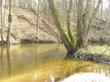 Rzeka Drawa - Drawieski Park Narodowy.