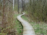 Obz Powstaczy - cieka przyrodniczo-historyczna w Poleskim Parku Narodowym