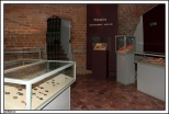 Gosawice - Muzeum Okrgowe w Koninie z siedzib w Gosawicach _ Muzeum w Zamku