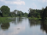 Rzeka Prosna