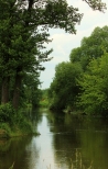 Rzeka Bobrza