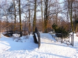 Pszczyna. Fragment parku paacowego - mostki prowadzce na wysp