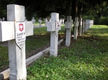 Cmentarz wojenny w okolicach Starych Babic