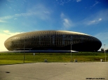krakowska Hala Arena gospodarzem M w pice siatkowej grupy D